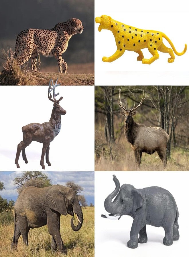 Mallexo Forest Animal Toys for Kids Set of 27PCs Wild Zoo Animals Playset Toy for Boys and Girls Lion Tiger Jungle Safari Janwar Toys Safari Farm Animal Action Figurines Birthday Gifts for Children - Image 3